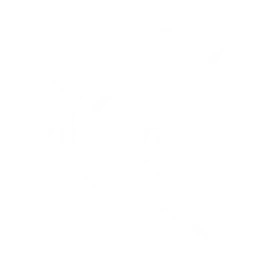 幽魂紫电